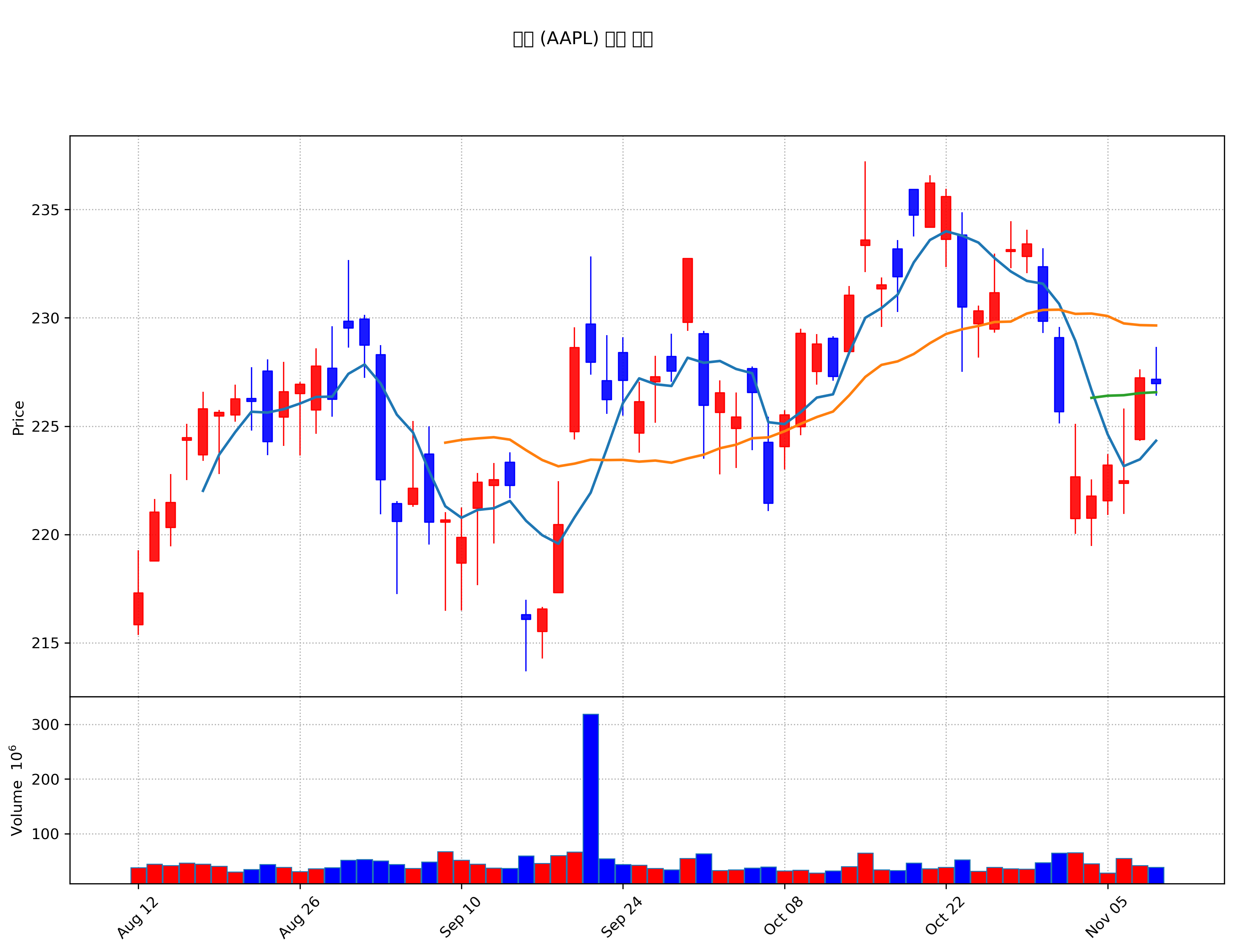 애플 (AAPL) 주가 차트