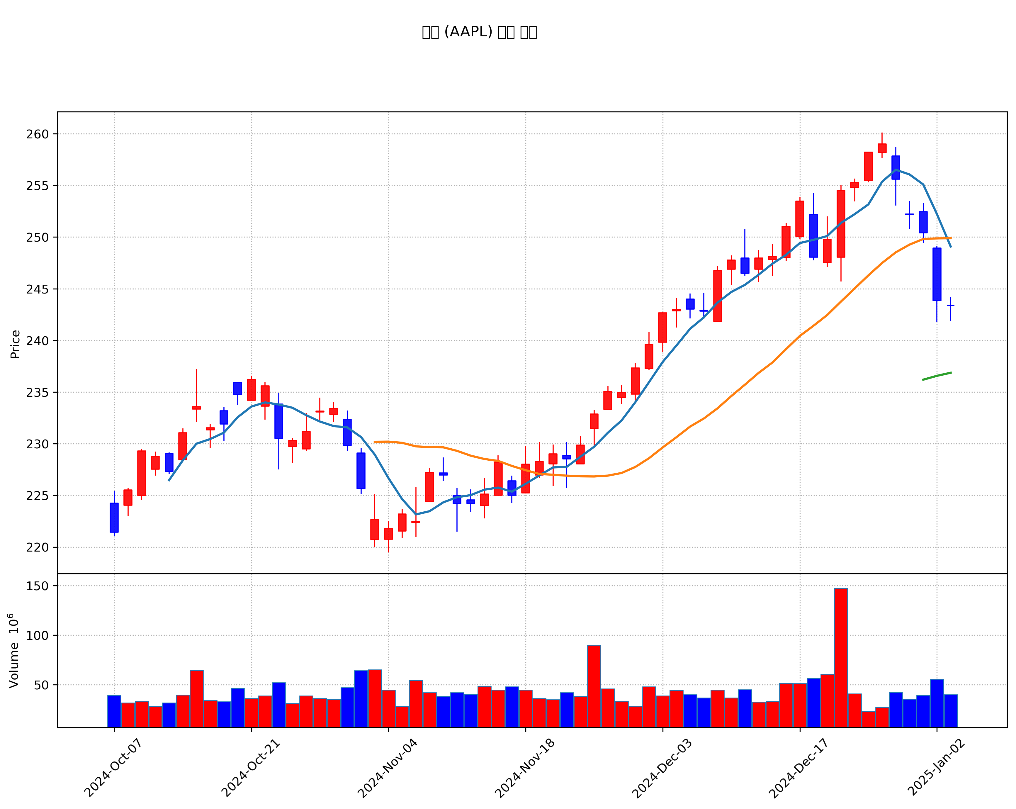 애플 (AAPL) 주가 차트